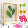 Family Wedding Decor Vintage Art Wooden Photo Frame Plant Specimen Picture Holder