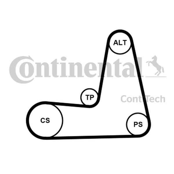 CONTITECH POLY V-BELT KIT RENAULT 1.4/1.6