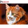 Huacan DIY 5D Алмазная вышивка Картина Кошка Вышивка крестом Главная Декор Наклейка