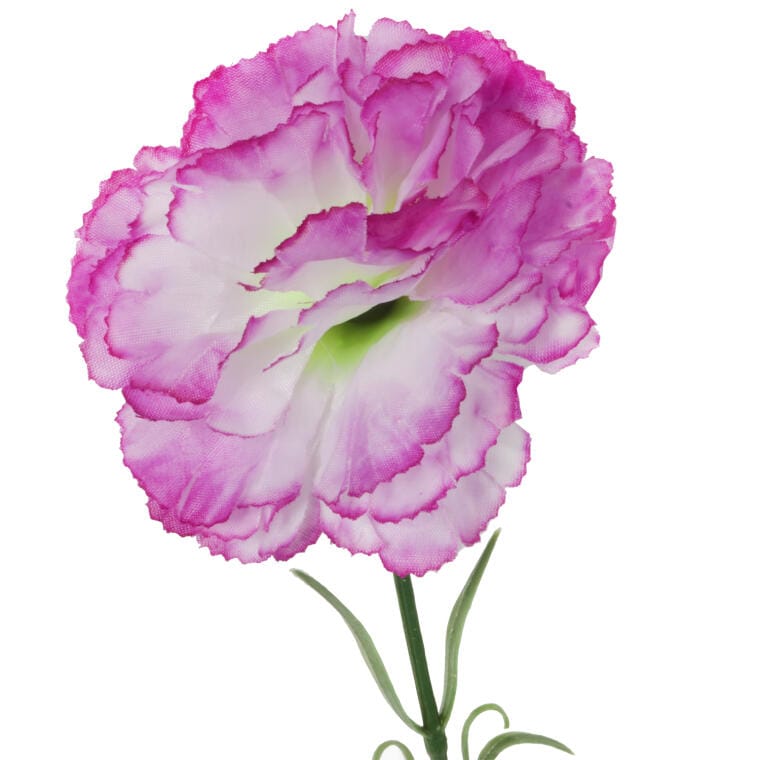 Single purple carnation 46 cm
