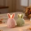 Форма для DIY-свечи к Пасхе в виде милого пухлого кролика, форма для аромасвечи в форме кролика, гипсовая форма, форма для литья пасхального кролика