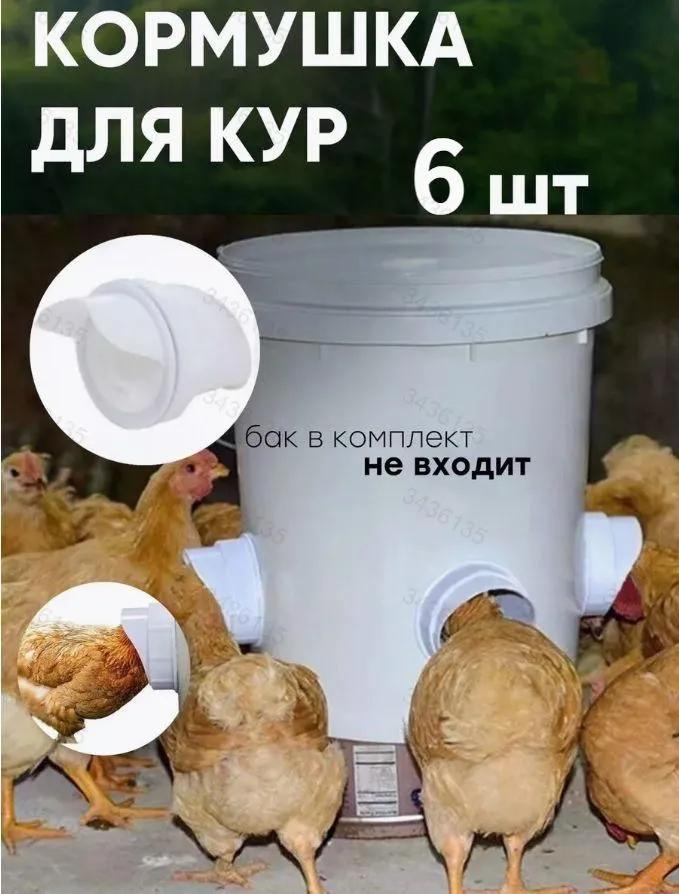 Livestock Feeder