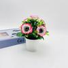 Peony Plant Miniature For Home Ornament And Photography Use