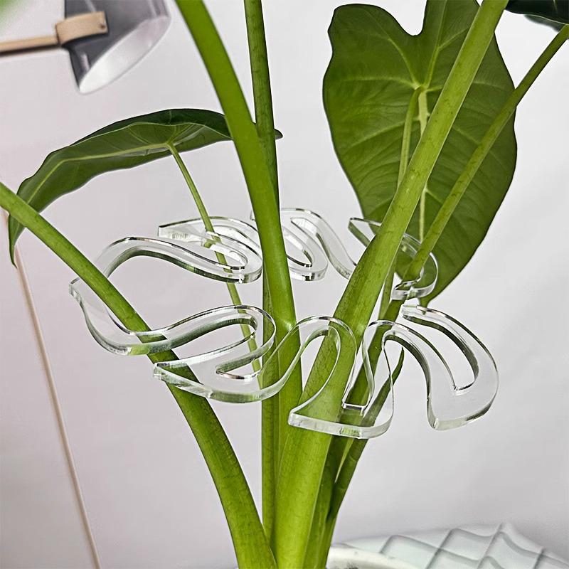 Monstera Plant Stands & Flower-Shaped Support Stakes for Indoor/Outdoor Growth