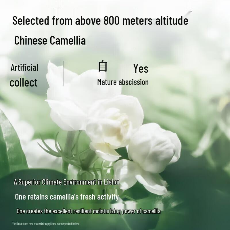 Adolph Plant Extract Nourishing Shampoo Duo