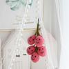 Grape-Themed Plush Doll String with Suction Cup - Green and Red Grape Pendants, Photo Props for Summer