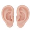 1 Pair Silicone Ear Model Soft Flexible Simulation Ear Model for Earrings Display Ear Piercing