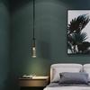 Nordic LED Lustre Подвесной светильник Внутреннее освещение для дома Гостиная Обеденный стол Спальня Светильник Роскошные украшения Подвесные лампы