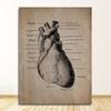 Анатомический скелет, патент, винтажный постер, настенный художественный принт, холст, живопись, постеры и принты, настенные панно для гостиной