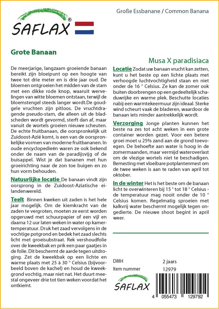 SAFLAX Банан обыкновенный - 10 семян - Musa X paradisiaca