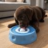 Rolling Ball Dog Licking Bowl Anti-slip Pet Slow Feeder Portable Pet Feeding Bowl  Wet Snack