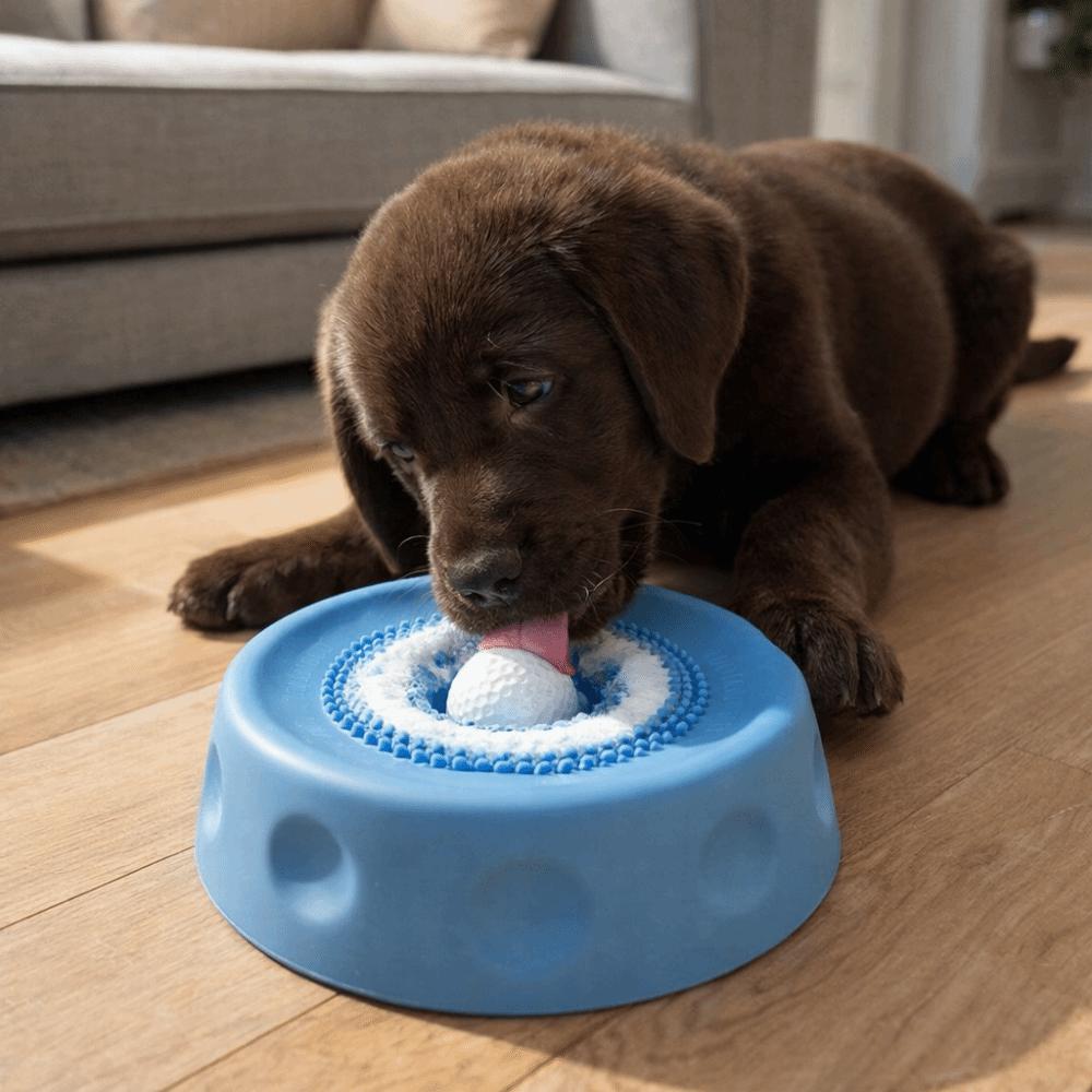 Rolling Ball Dog Licking Bowl Anti-slip Pet Slow Feeder Portable Pet Feeding Bowl Wet Snack