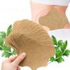 Pain Relief Patch Joint Cervical Spondylosis Body Back Lumbar Spine Sticker Wormwood Plaster