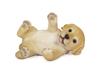 Ubia Labrador Retriever Smartphone Stand, 13 X 9 X 7.5 Cm, Doll Figurine, Animal Ornament, Garden Decor, Dog, H22140