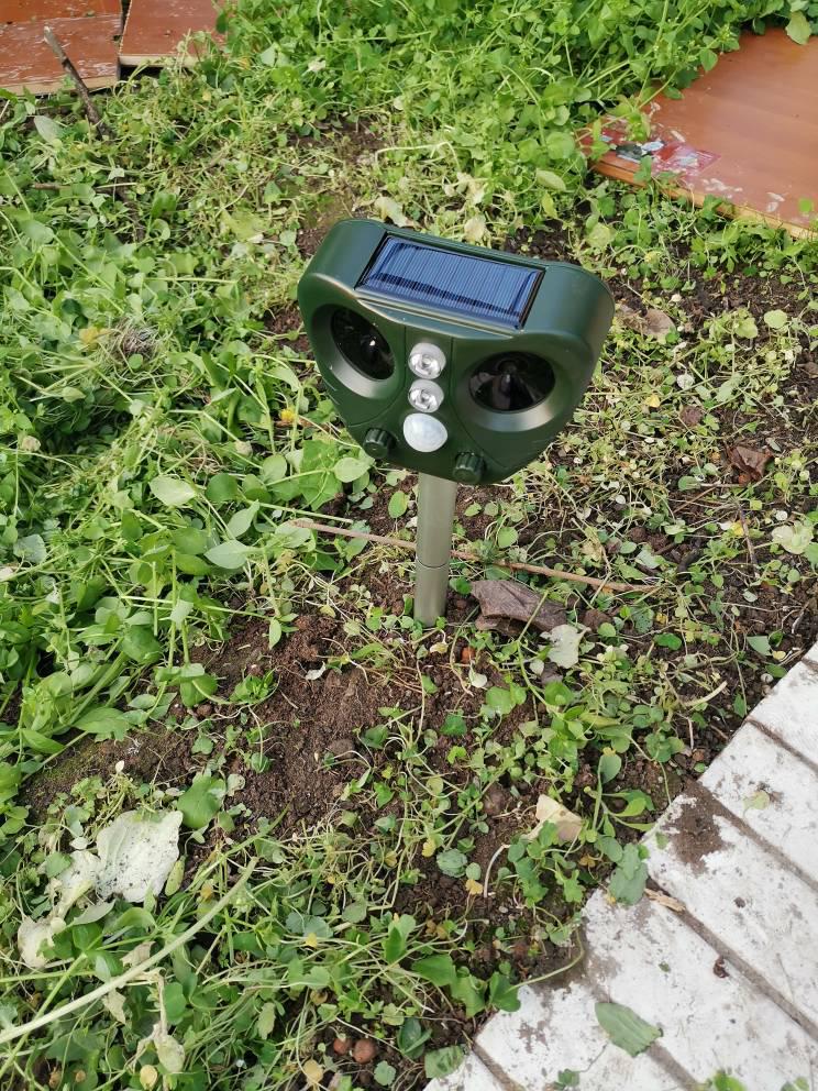 Solar Ultrasonic Rat & Animal Repeller: Outdoor, Waterproof, Multi-Frequency