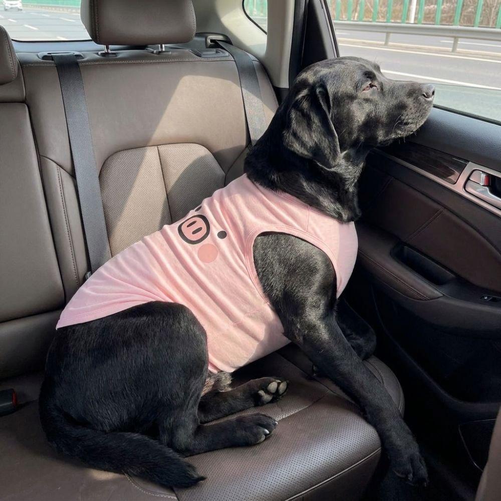 Lightweight Dog Tank Top Cartoon Print Pet Cooling Vest Cute Style Sleeveless T-Shirt Travel