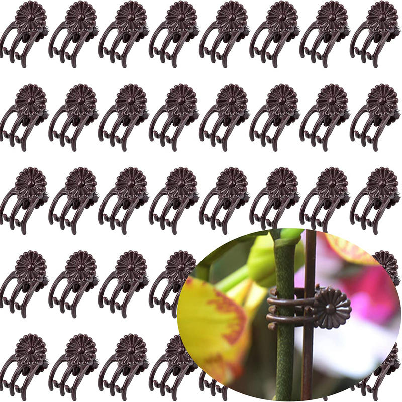 100 шт. вьющихся растений виноградная лоза орхидея фиксация опорные зажимы инструменты садовые цветочные стебли шпалерные зажимы