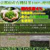 Natural Life Premium Versatile Organic Uji Matcha Powder (100g) Kyoto Prefecture Origin Baking Cooking Confectionery Practice Latte Commercial Use JAS