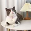 Пряжка Щенячий Колокольчик Подвеска Медведь Кошка Аксессуары Рыба Котёнок Ожерелье Счастливый мешок Ошейник для собаки Ошейники для кошек