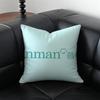 Minimalist IINMANS Casual Fashion Cushion Cover Pillow Case Antidustmite Invisible zipper silky plush cushion