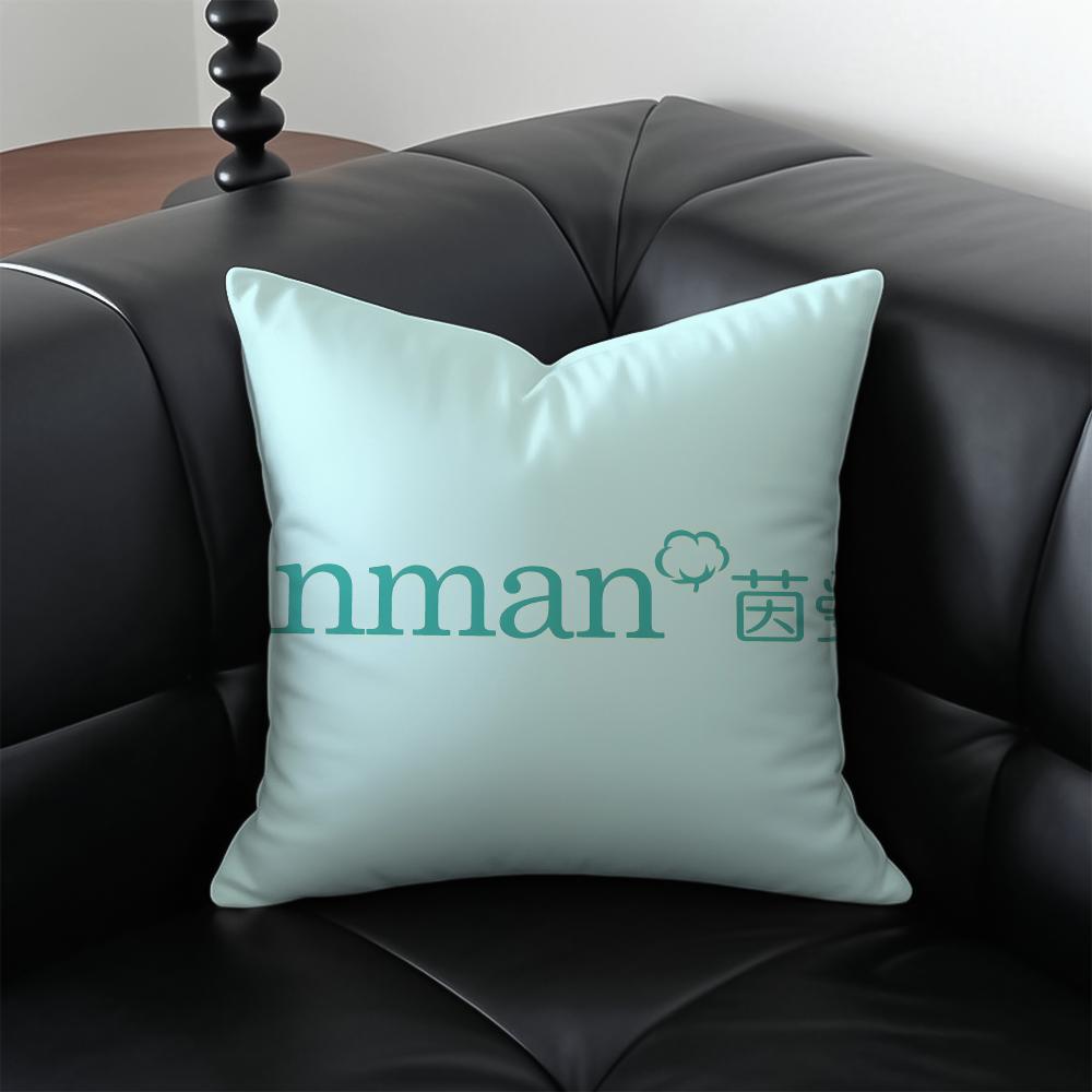 Minimalist IINMANS Casual Fashion Cushion Cover Pillow Case Antidustmite Invisible zipper silky plush cushion
