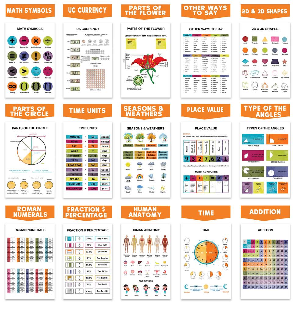 Traceease Образовательный плакат для начальной школы, упаковка из 25 больших ламинированных детских обучающих плакатов размером 11 x 17 дюймов