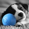 Игрушка для собак в виде катящегося мяча, умный самоуправляемый прыгающий мяч с автоматическим движением, жевательно-стойкая стимулирующая игрушка для маленьких, средних и крупных собак