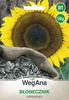 Garden Sunflower 10g Sunflower Seeds -