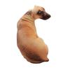 1PC 50CM 3D Simulation Dog Pillow Stereo Plush Toy for Home Hotel Sofa Bench (Hound)