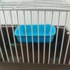Пластиковая миска для корма для хомяков, чашка для корма для домашних животных, чашка для кормления водой с крючками, держатель для клетки для шиншилл, кроликов, хорьков