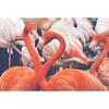 Full Round Drill 5D DIY Diamond Painting Flamingo Diamond Embroidery Cross Stitch