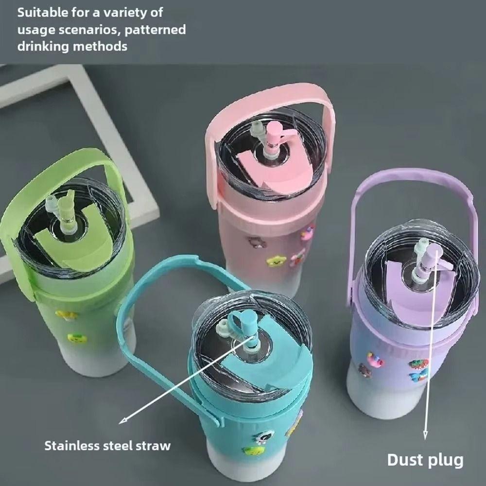 316 Stainless Steel Insulated Water Bottle With Straw Office Double Drink Cup  Outdoor Activities