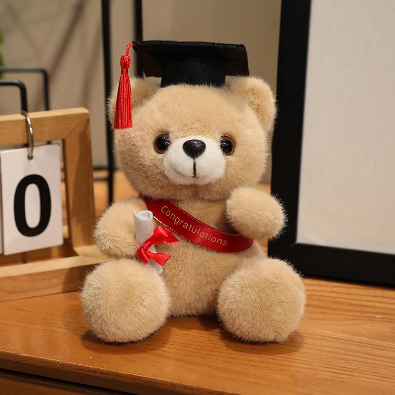 Graduation Gift Bear for Students: Doctoral, Master's, University, Kindergarten