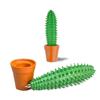 Cactus Plant Pen and 1 Pot