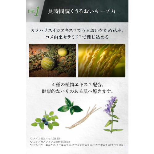 Quattro Botanico Body Cream Lime & Blackberry Scent Moisturizing [Botanical Body Treatment Milk] Pump for Dry Skin and Sensitive Skin Men's Unisex Add