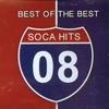 CD РАЗНЫЕ ИСПОЛНИТЕЛИ - Лучшие из лучших сока-хитов 2008 JW0304 JW 2008 США Латинская