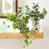 Plant Stem Climbing Rack Plant Trellis Garden Support Stake Stand Vine Growth Flower Rattan-Climbing Rack Diy Garden Supplies