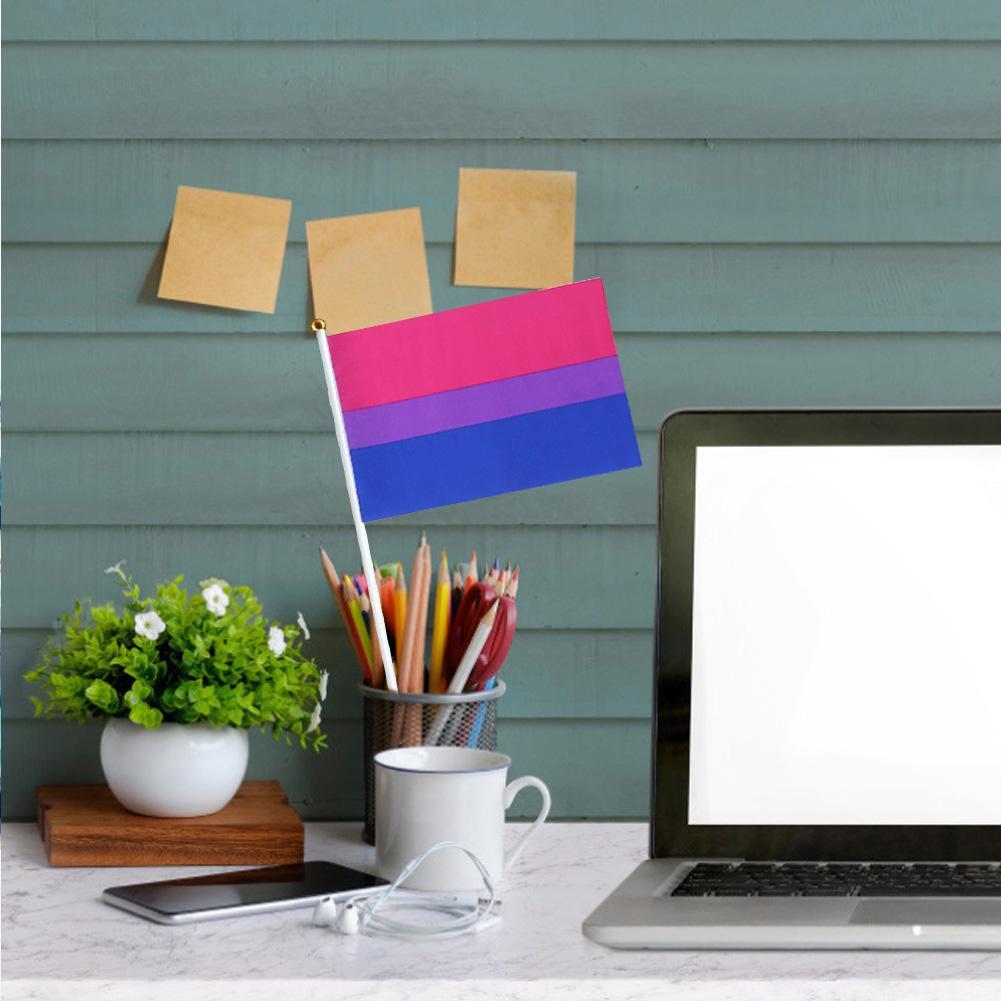 10 шт., флаги гей-прайда, легко держать, мини-гомосексуальный радужный флаг с флагштоками для фестиваля гордости, аксессуары для вечеринок 14x21 см