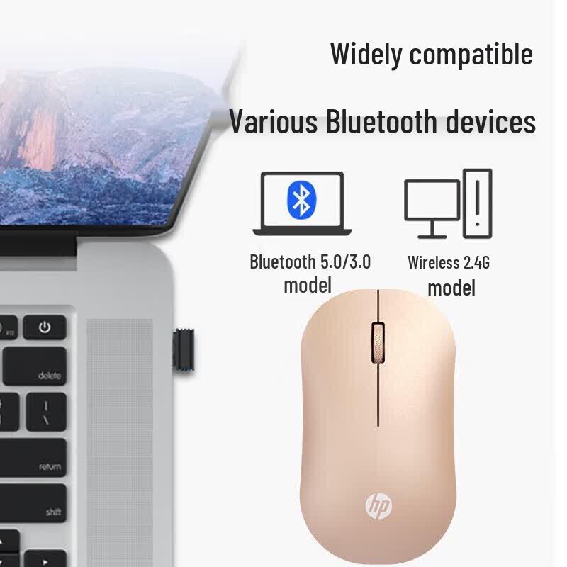 HP Беспроводная мышь DM10 с двумя режимами
