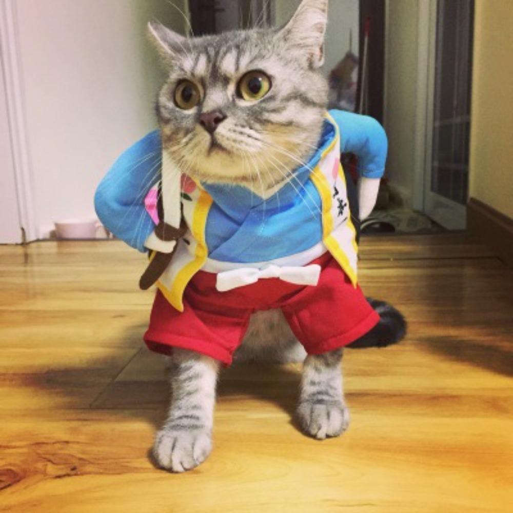 Pet Transformation Dog Funny Funny Standing Pirate Denim Pet Clothing Dog Dog Clothing