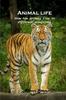 Книга Animal Life : Show How Animals Live In Different Ecosystems