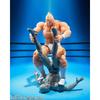 TAMASHII NATIONS S.H.Figuarts Kinnikuman - Perfect Superhuman Ancestor Arc - Approx. 155mm PVC & ABS Painted Movable Figure