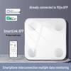 Rechargeable High-Precision Body Fat Scale for Home Use