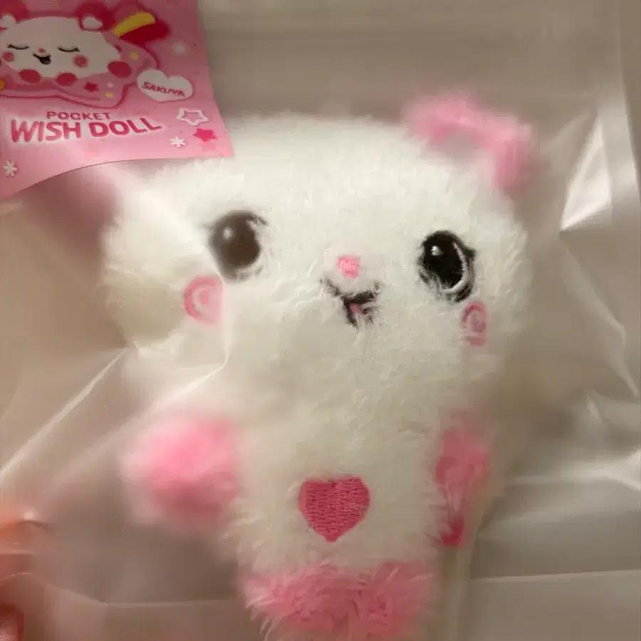 NCT Wish Pocket Wisidoru Sakuya Pan