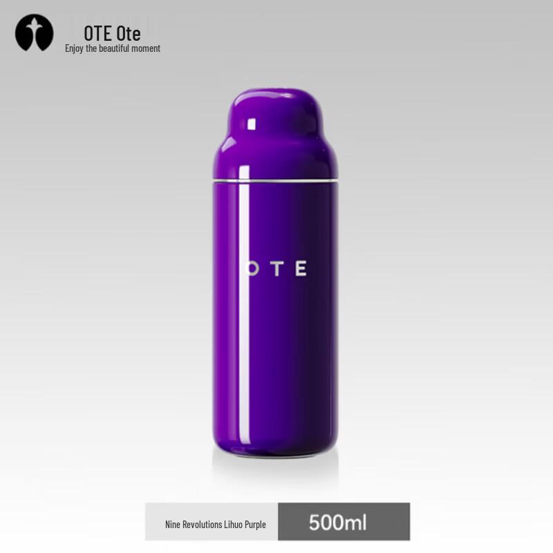 OTE Термобутылка с ситечком для чая