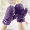 Plush Thicken Wither Warm Cashmere Gloves Imitation Rabbit Fur Women Girls Gloves Windproof Soft Full Fingers Mittens Gloves