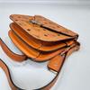 [Pre-Owned] Pasetia Visetos Monogram Coated Canvas Crossbody Bag - Very Good #1V4TTYB
