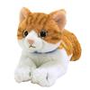 Солнечный Лимон Кот на Коленях Часиро Плюшевое Животное Маленький 13 x 36 x 15 см Милый Кот P-7822