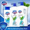 Safeguard Peppermint Icy Refreshing Shower Gel
