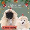 Christmas Pet Wigs: Long Curly Headdress for Cats & Dogs - Perfect for Holiday Parties and Role Play!
